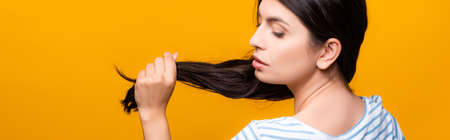 back view of brunette woman holding hair isolated on yellow, panoramic shotの写真素材
