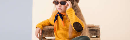 fashionable blonde girl in autumn outfit and sunglasses posing near wooden box on beige and white background, panoramic shotの写真素材