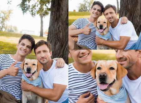 collage of teenager son showing thumb up near father and golden retriever