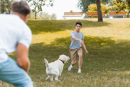 selective focus of teenager son and father playing with dog outsideの写真素材