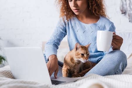 Selective focus of curly woman with cup using laptop near tabby cat in bedroomの写真素材