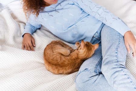 Cropped view of young woman in sweater and jeans lying near ginger cat on bedの写真素材