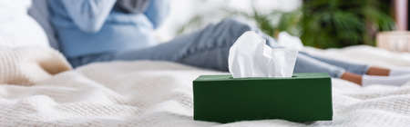 Panoramic crop of box with napkin on bed near woman