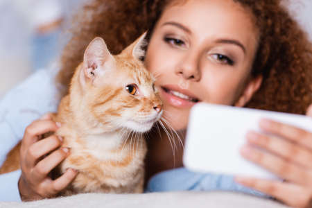 Selective focus of woman talking selfie on smartphone near cat at home