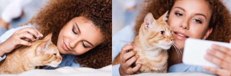 Collage of curly woman petting and taking selfie with cat at home