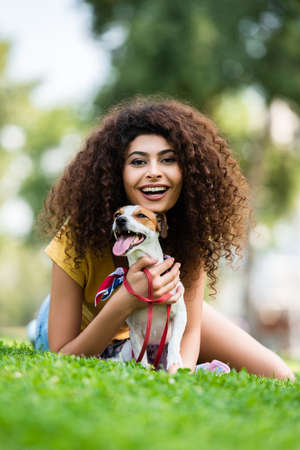 excited woman laughing and looking at camera while lying with jack russell terrier dog on green lawnの写真素材