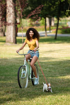 Selective focus of woman riding on bicycle near jack russell terrier on leash in park at summerの写真素材