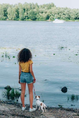 back view of young woman in summer outfit with jack russell terrier dog on leash near riverの写真素材
