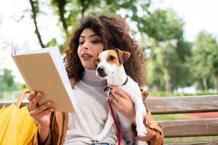 brunette woman reading book and holding jack russell terrier dog on bench in parkの写真素材