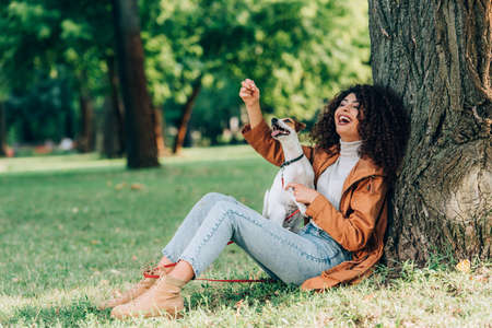 Selective focus of excited woman in raincoat playing with jack russell terrier on grass near tree in parkの写真素材