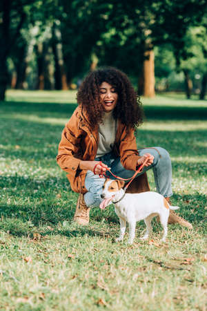 Selective focus of woman in raincoat holding leash near jack russell terrier in parkの写真素材