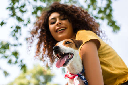 selective focus of excited, curly woman holding jack russell terrier dog, low angle viewの写真素材