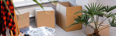 panoramic crop of carton boxes on floor near plants and easel, moving concept