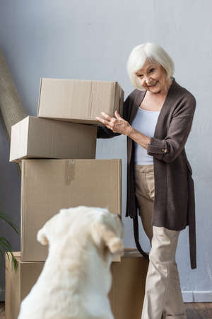 smiling senior woman folding cardboard boxes and looking at dog, moving conceptの写真素材