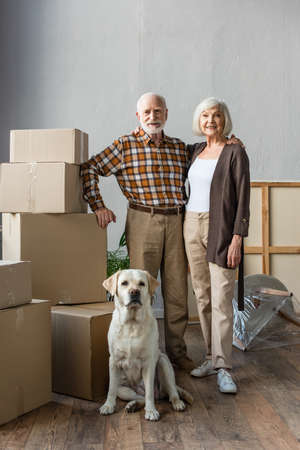 full length view of senior couple and labrador dog in new houseの写真素材