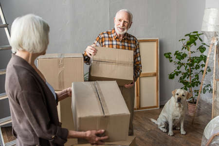 senior couple holding cardboard boxes in new house while dog sitting nearの写真素材