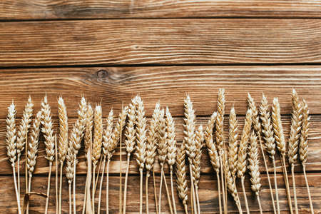 top view of wheat ears on wooden backgroundの写真素材