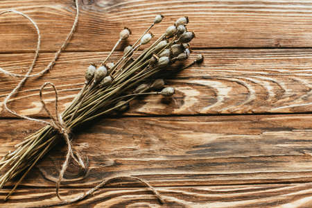 top view of dry poppies on wooden backgroundの写真素材