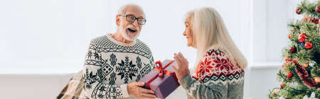 horizontal concept of excited senior man presenting christmas gift to happy wifeの写真素材
