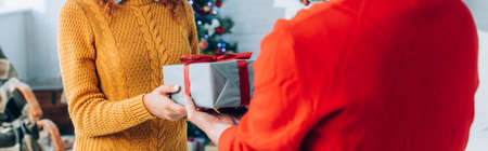 selective focus of man presenting christmas gift to wife, panoramic shotの写真素材
