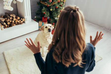 selective focus of dog looking at girl gesturing in decorated living room, christmas conceptの写真素材