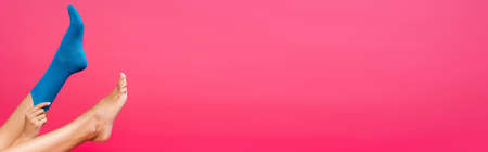 Woman putting blue sock on leg isolated on pink, banner
