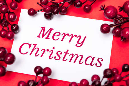 merry Christmas card and berries on red backgroundの写真素材
