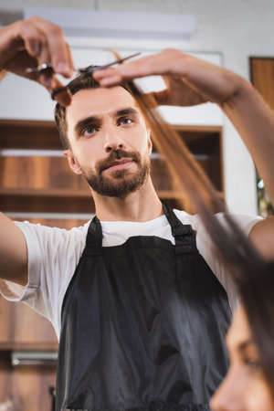 young bearded hairdresser cutting hair of woman on blurred foregroundの写真素材