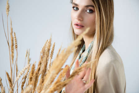 woman looking at camera near wheat spikelets on blurred foregroundの写真素材