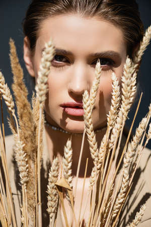 young woman looking at camera through wheat spikelets on dark grayの写真素材