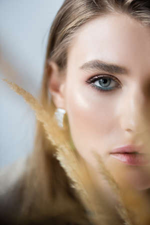 partial view of young woman looking at camera through wheat spikelets on blurred foregroundの写真素材