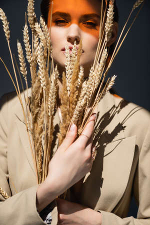 young woman in blazer looking at camera and holding wheat spikelets on dark grayの写真素材