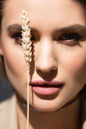 close up of young woman looking at camera near barley spikeletの写真素材