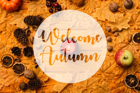 top view of burning candle with decoration near welcome autumn lettering on wooden background