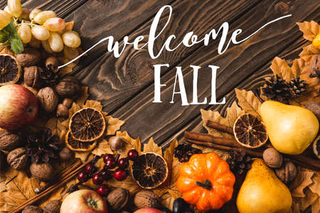 top view of autumnal harvest and foliage near welcome fall lettering on brown wooden background