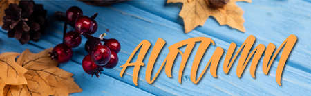 panoramic concept of autumnal leaves, berries, acorns and cones near autumn lettering on blue wooden backgroundの写真素材