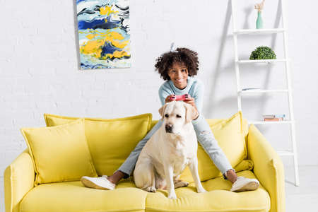 KYIV, UKRAINE - OCTOBER 02, 2020: smiling african american girl sitting behind labrador on sofa,...