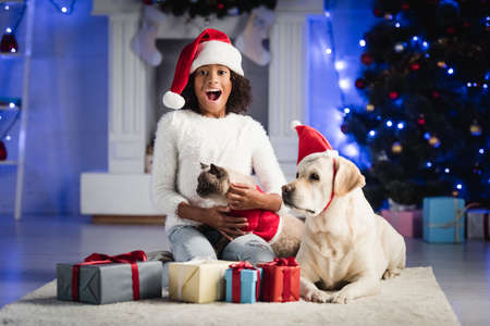 African american girl with open mouth, hugging cat and sitting near labrador on floor with presents, on blurred backgroundの写真素材