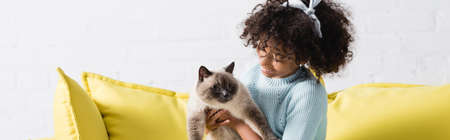 Smiling curly girl with headband holding and looking at siamese cat at home, bannerの写真素材
