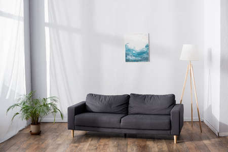 soft comfortable sofa in living room near potted plant