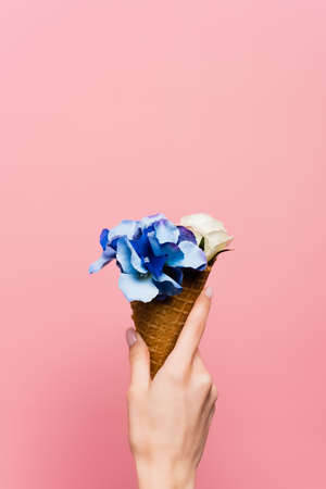 partial view of woman holding waffle cone with blue flowers in hand isolated on pink