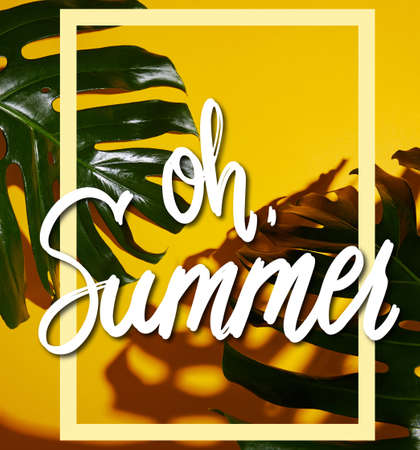 top view of tropical green leaves on yellow background with oh summer illustrationの写真素材