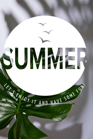 fresh tropical green leaf on white background with summer illustration