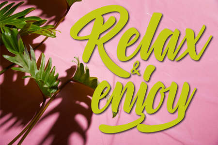 top view of fresh tropical green leaves on pink plastic background with relax and enjoy illustration