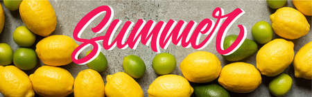 top view of colorful limes, avocado and lemons on gray concrete surface with summer illustration, panoramic shotの写真素材