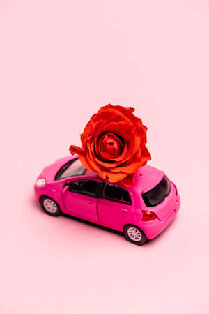 toy car and red rose on pink backgroundの写真素材