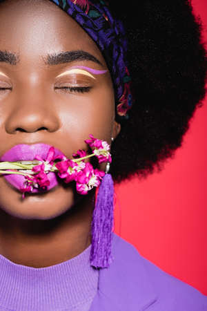 cropped view of african american young woman in purple stylish outfit with flower in mouth isolated on redの写真素材