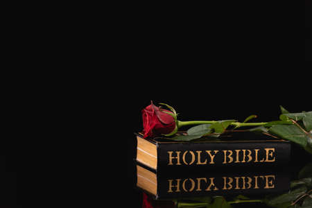 red rose on holy bible on black background, funeral conceptの写真素材