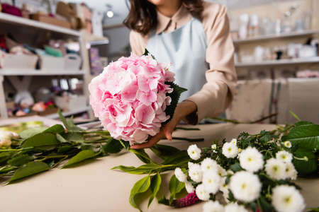 Close up view of blooming hydrangea in hand of florist near chrysanthemums on desk on blurred backgroundの写真素材