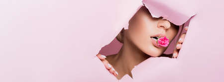 beautiful woman with rose in mouth in pink paper hole, bannerの写真素材